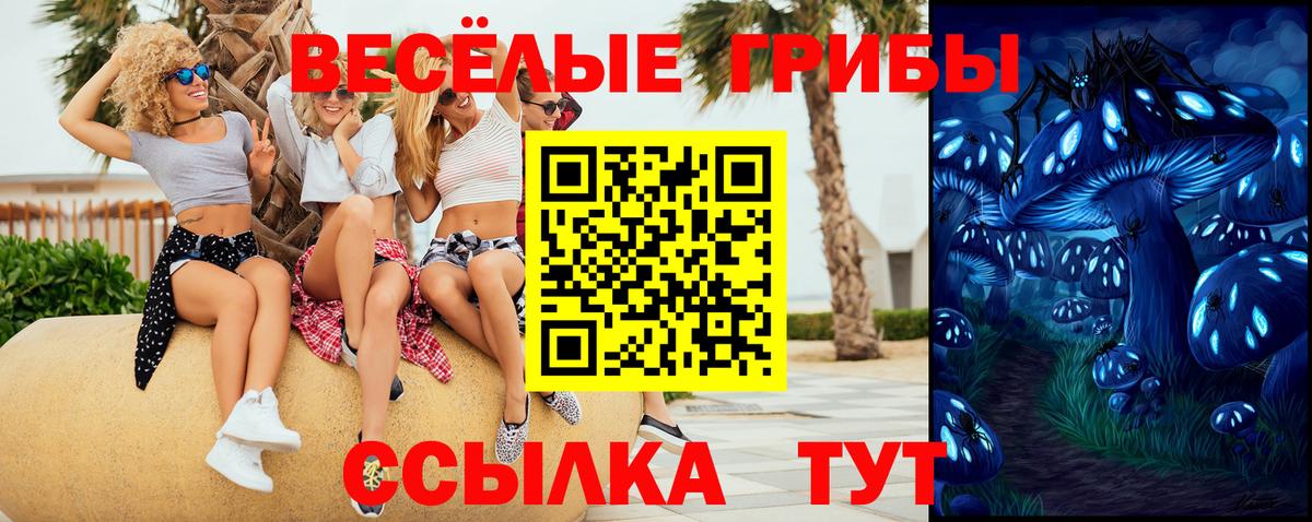 купить  сайты  Вход с VPN  Ртищево  Псилоцибиновые грибы Psilocybine cubensis  Псилоцибиновые грибы Psilocybine cubensis 